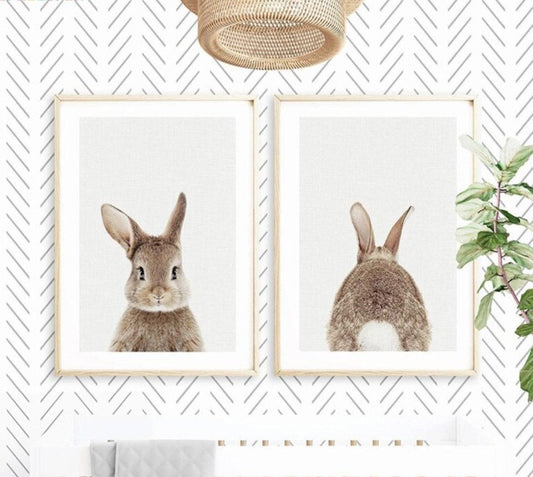 Cute Bunny, canvas