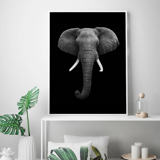 Black and white animals, canvas