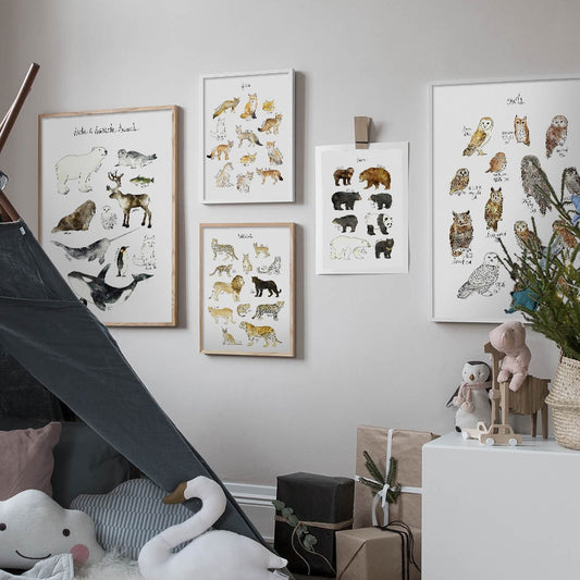Educational Animals, canvas