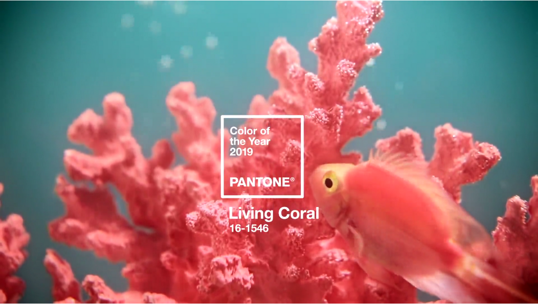 "Living Coral" El color del año 2019 - Pantone