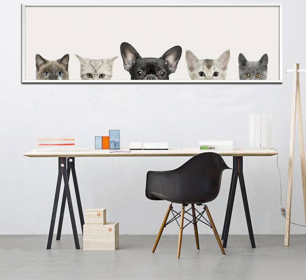 Dog and cats, canvas