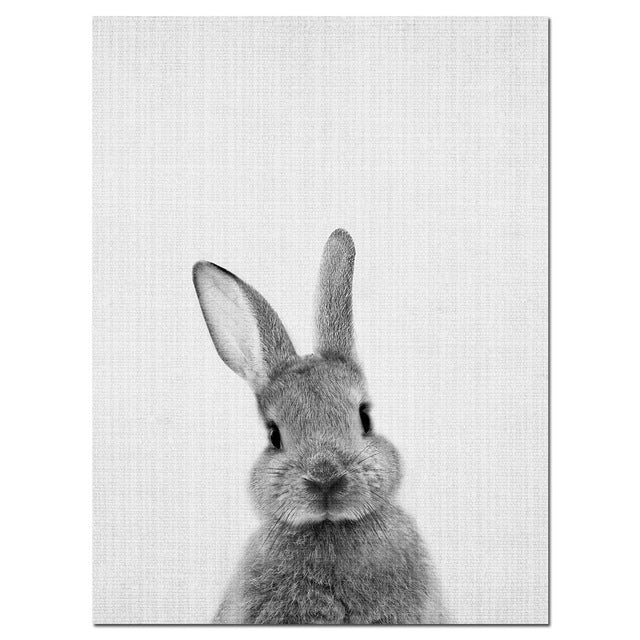 Rabbit, canvas