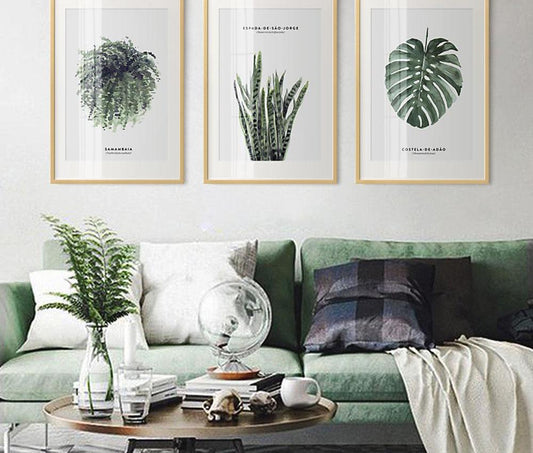 Winter Plants, canvas