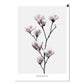 Pretty pink flowers, canvas