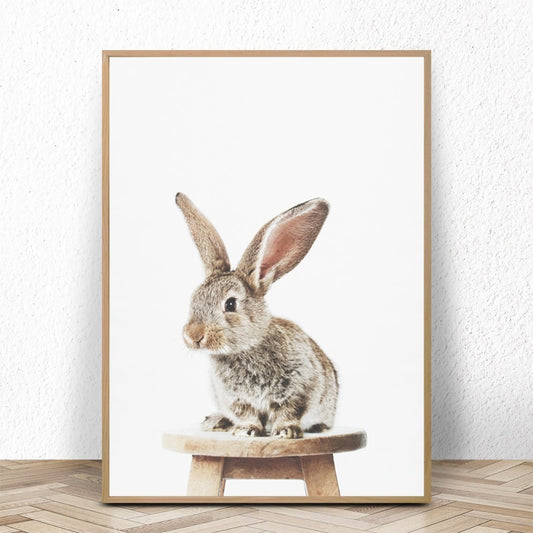 Baby Rabbit, canvas