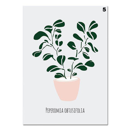 Scandinavian Plant Pots, canvas