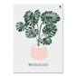 Scandinavian Plant Pots, canvas