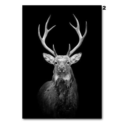 Black and white animals, canvas