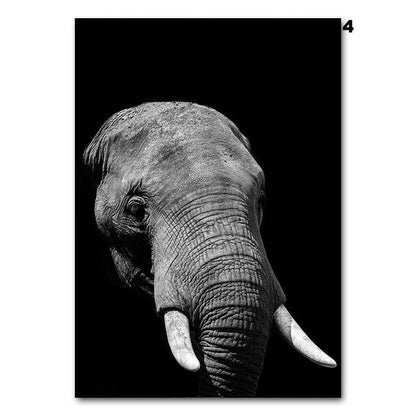 Black and white animals, canvas