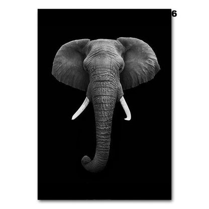 Black and white animals, canvas