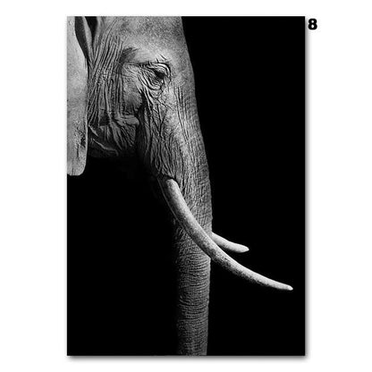 Black and white animals, canvas