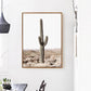 Desert Cactus, canvas