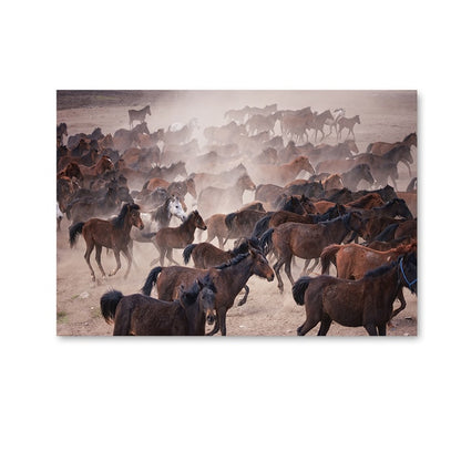 Scandinavian landscapes, canvas